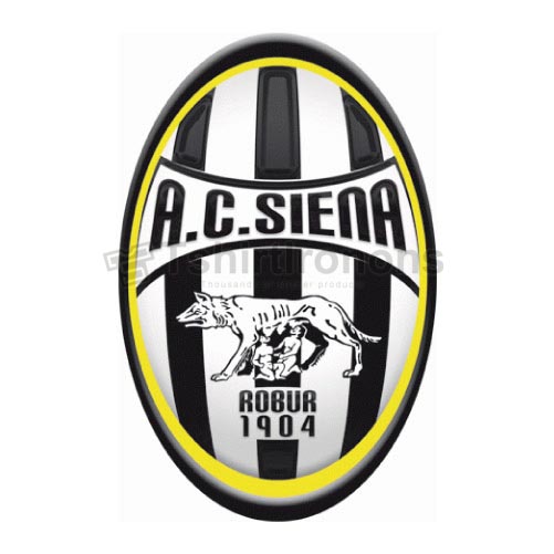 AC Siena T-shirts Iron On Transfers N3355